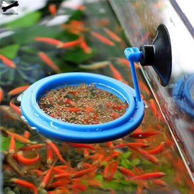 Aquarium equipment buoyancy feeding ring Water tank powerful suction cup type fish food floating feeding ring